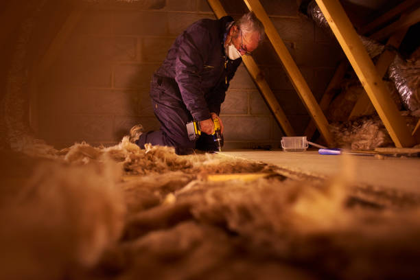 Best Crawl Space Insulation  in Chattanooga, TN