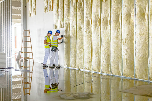 Best Basement Insulation  in Chattanooga, TN